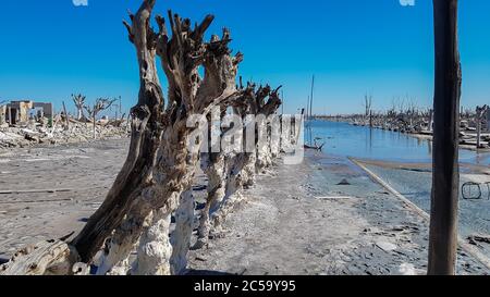 Colpo a livello dell'occhio di una strada di alberi secchi nella città di Efeuen, Buenos Aires, Argentina Foto Stock
