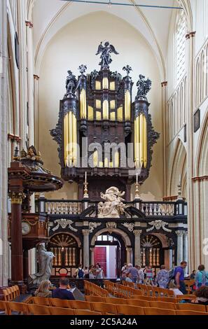 Organo a pipa, originale 1719, strumento musicale, pulpito ornato, Cattedrale di Sint-Salvator, San Salvatore, 12-15 secoli, edificio religioso, Catoli Foto Stock