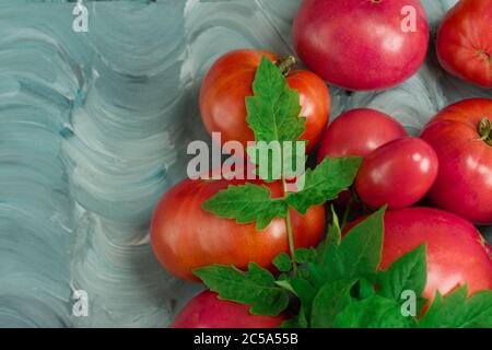 Le varietà di pomodoro hanno il nome Dwarf Firebird Sweet. Pomodoro fresco di manzo rosa maturo. Pomodori a forma di cuore grande Foto Stock