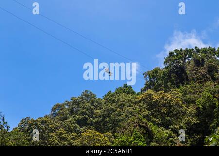 Monteverde, Costa Rica - 26 agosto 2019: Giovane donna avventurosa zip lining attraverso la foresta. Monteverde, Costa Rica. Foto Stock