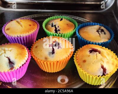 Muffin appena sfornati in casa in tazze colorate e collocati in un luminoso microonde Foto Stock