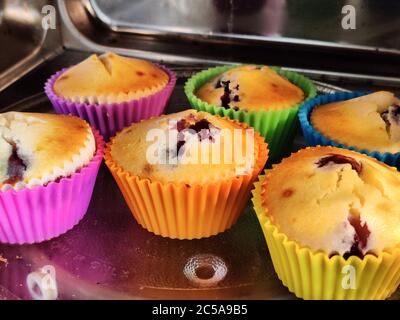 Muffin appena sfornati in casa in tazze colorate e collocati in un luminoso microonde Foto Stock