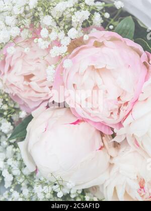 Bel bouquet di peonie bianche e rosa Foto Stock