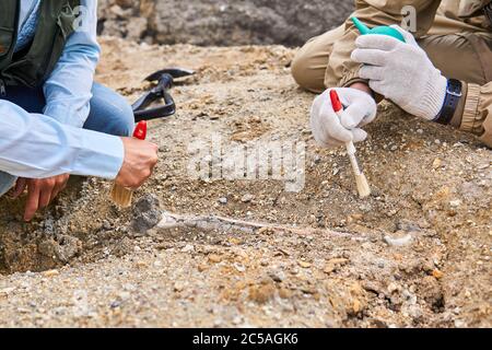 mani di paleontologi che puliscono l'osso fossile trovato nel deserto Foto Stock