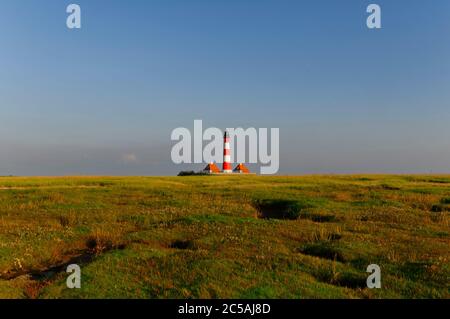 Prato di sale di fronte al faro di Westerheversand sulla penisola di Eiderstedt, Frisia settentrionale, Schleswig-Holstein, Germania Foto Stock