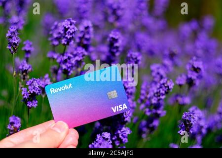 Stone / UK - Giugno 30 2020: Nuova carta Revolut in mano con i fiori di lavanda sullo sfondo. Non un montaggio, una vera foto. Foto Stock