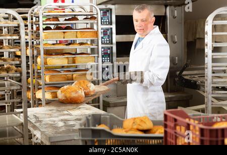 Lavoratore di panetteria esperto che tira le pagnotte appena sfornate dal forno industriale su pala di legno Foto Stock