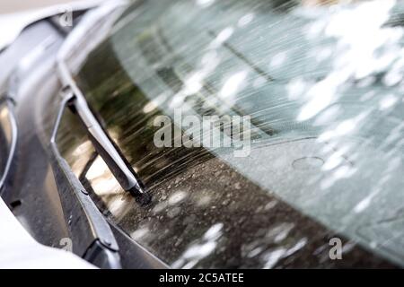 parabrezza con i tergicristalli di un'auto sporca in polvere e cosparso di palude da vicino. Foto Stock