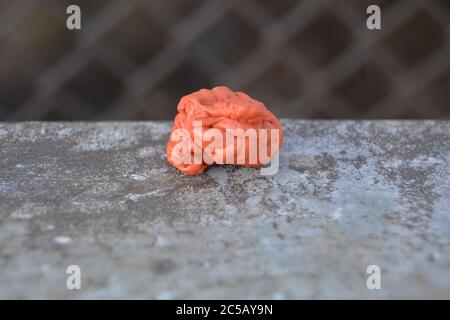 Gomma da masticare arancione sul terreno della strada. Environment.dischewing gum primo piano Foto Stock