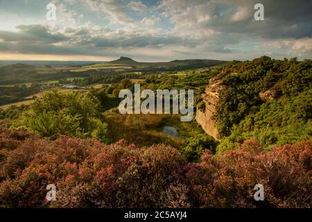 Heather a Cockshaw colle che domina a Roseberry Topping Foto Stock