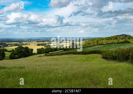 Vista in discesa sui campi di grano in Herefordshire, Inghilterra, in giornata di sole Foto Stock