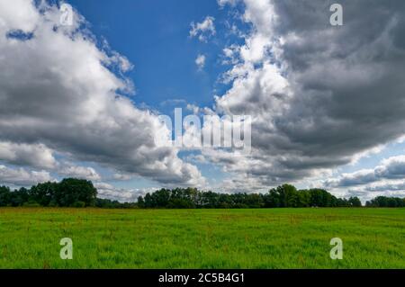 Elbtalaue (valle dell'Elba) vicino a Hitzacker (Elbe), distretto di Lüchow-Dannenberg, bassa Sassonia, Germania Foto Stock