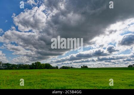 Elbtalaue (valle dell'Elba) vicino a Hitzacker (Elbe), distretto di Lüchow-Dannenberg, bassa Sassonia, Germania Foto Stock