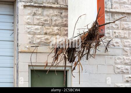 Altezza delle acque alluvionali sull'edificio, Sanford, MI, USA. 6-11-2020, rottura della diga originale &allagamento 5-20-2020, di James D Coppinger/Dembinsky Photo Assoc Foto Stock