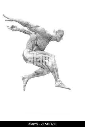 anatomia del muscleman corpo eroico saltando su sfondo bianco, illustrazione 3d Foto Stock