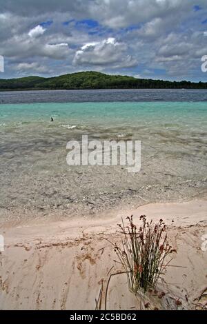 Lago Birrabeen, Isola Fraser Foto Stock