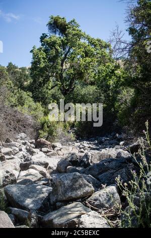 Ruscello roccioso secco nel lago di alimentazione Diablo Range Grant in estate calda giorno Foto Stock