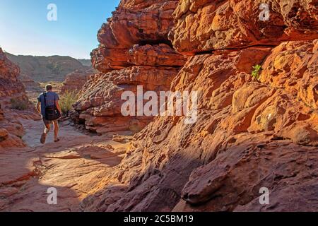 Escursioni a piedi sul Kings Canyon Rim Walk Foto Stock