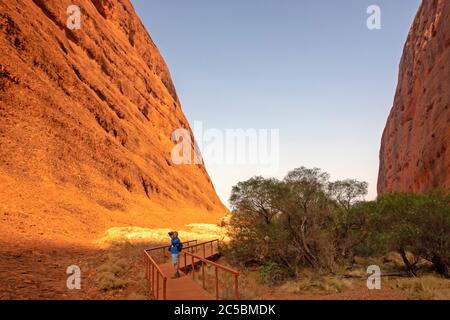 Walpa Gorge all'interno di Kata Tjuta Foto Stock