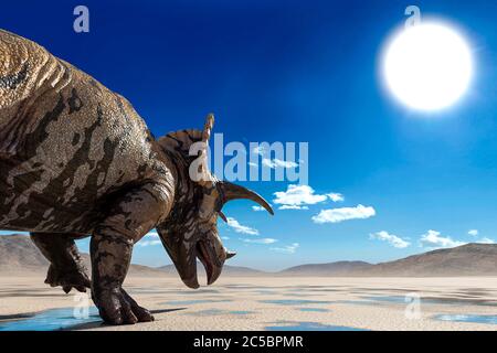 triceratops sul deserto che cammina dopo la pioggia vista posteriore primo piano, illustrazione 3d Foto Stock
