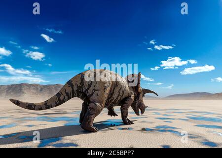 triceratops sul deserto che cammina dopo la pioggia vista posteriore, illustrazione 3d Foto Stock