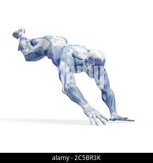 anatomia del muscleman corpo eroico parkour posa di atterraggio su sfondo bianco, illustrazione 3d Foto Stock