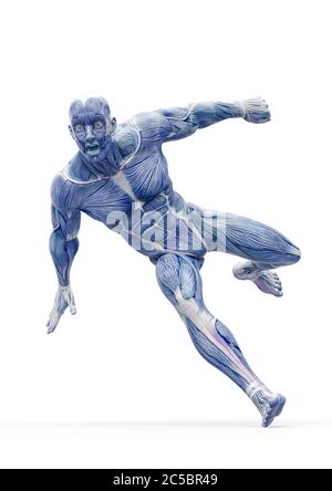 anatomia del muscleman parkour eroico del corpo correre su sfondo bianco, illustrazione 3d Foto Stock