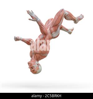 muscleman anatomia eroico corpo parkour salto posa tre in sfondo bianco, illustrazione 3d Foto Stock