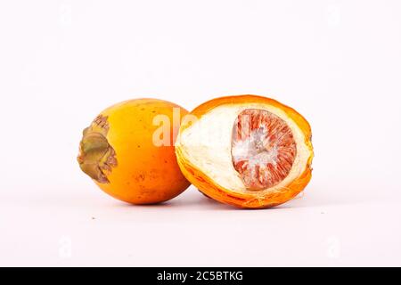 Il dado betel è utilizzato nei coloranti tessili industriali Foto Stock