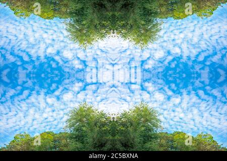 nuvole soffici e alberi verdi lussureggiante fogliame e cielo blu su struttura di sfondo natura cornice Foto Stock