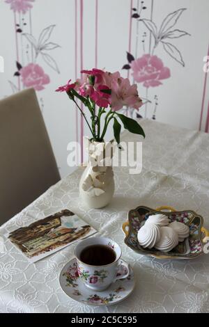 Alstroemeria rosa a volta bianca Foto Stock