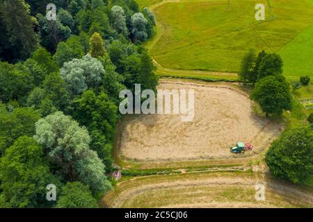 Coltivatore che raccoglie fieno sul campo erba con foresta verde intorno, vista aerea Foto Stock