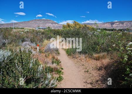 Laguna Nimez Reserva a El Calafate, Patagonia, Argentina Foto Stock