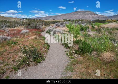 Laguna Nimez Reserva a El Calafate, Patagonia, Argentina Foto Stock