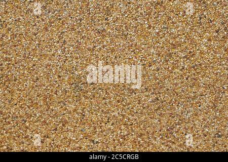 Il pavimento è decorato con molti pezzi di piccole pietre di ciottoli - immagine. Sfondo e trama Foto Stock