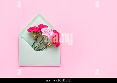 Fiori di garofano rosa in busta verde su sfondo rosa pastello. Piatto di compleanno, Festa delle madri, bachelorette, concetto di matrimonio. Spazio di copia, v superiore Foto Stock