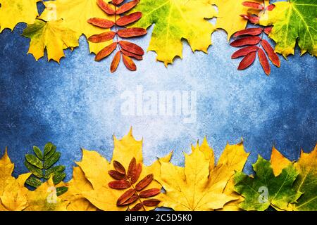 Composizione autunnale. Bordo in foglie gialle e rosse su sfondo blu. Concetto di giorno di ringraziamento, autunno e autunno. Disposizione piatta, spazio di copia per il testo Foto Stock