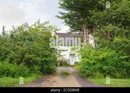 Ingresso alla casa locale del consiglio dell'authrity con una siepe incetta e sopravata. Molto Hadham. REGNO UNITO. Foto Stock