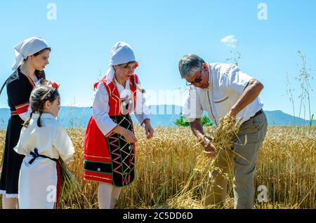 Bulgari in costume tradizionale celebrare l'uso locale di raccolto di grano in villaggio di campagna. Foto Stock