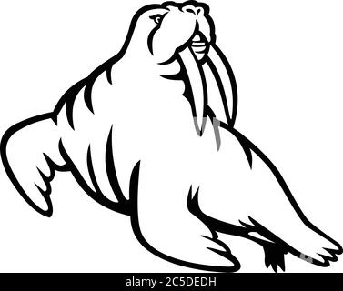 Mascotte bianche e nere illustrazione di un maschio moustached e lungo-tusked Atlantico o del Wrus del Pacifico, un grande mammifero marino flippered osservato da lato Illustrazione Vettoriale
