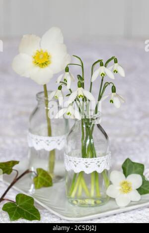 bouquet di gocce di neve e fiore di helleborus niger in bottiglia di vetro Foto Stock
