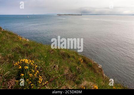 Uno yacht solistico all'ancora nel porto con Guile Point oltre da Heugh Hill, Lindisfarne, Northumberland, Inghilterra, Regno Unito Foto Stock