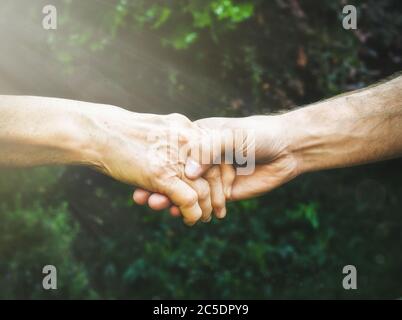 Mani giovani e senior fuori dalla closeup. Donna anziana e giovane uomo che tengono le mani unite, sfondo verde sfocato, luce solare. Amore, calore, prendere l'auto Foto Stock