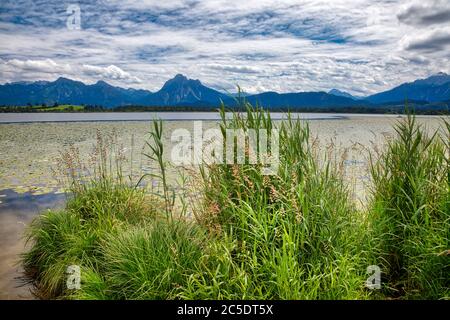 DE - BAVIERA: Lago Hopfensee vicino Fuessen nella regione di Allgaeu Foto Stock