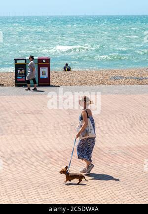 Brighton UK 2 luglio 2020 - UNA giovane donna cammina lungo il lungomare di Brighton con il suo cane Dachshund molto piccolo in una giornata calda di sole ma il tempo è previsto essere più fresco e bagnato nel prossimo fine settimana, quando pub e ristoranti sono riaperti in tutta l'Inghilterra : Credit Simon Dack / Alamy Live News Foto Stock