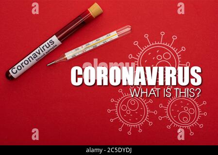 Vista dall'alto della provetta con campione di sangue e termometro con coronavirus, illustrazione su sfondo rosso Foto Stock
