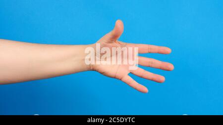 mano estensibile dell'uomo, mano aperta, parte del corpo su sfondo blu, primo piano Foto Stock