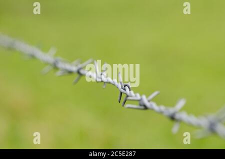 Filo spinato di metallo intorno ad un pascolo nella campagna in Germania, Europa occidentale Foto Stock