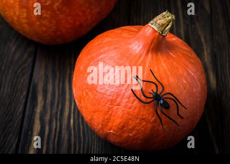 Halloween sfondo vacanza con zucche e ragno nero su un tavolo di legno scuro. Primo piano zucche rossastre naturali su tavole vintage per Halloween Foto Stock