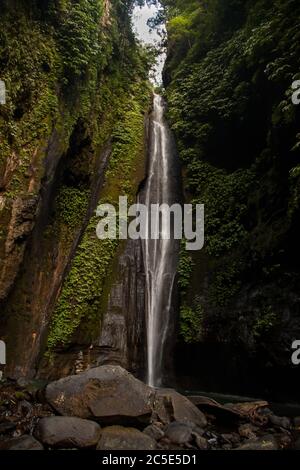 Immagine verticale di una piccola cascata vicino alla cascata Sekumpul a Bali Foto Stock